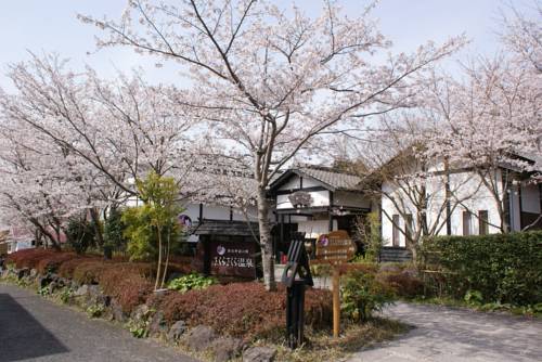 Sakura Sakura Onsen